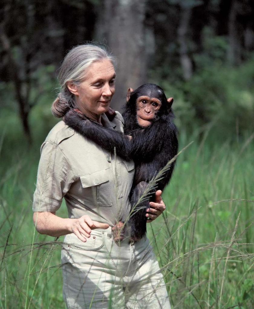 Ethologist and conservationist Jane Goodall redefined what it means to be human