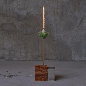 Lighting “Butterfly-orchid”